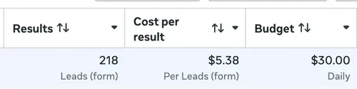 Meta Ads: 218 form leads at $5.38 each